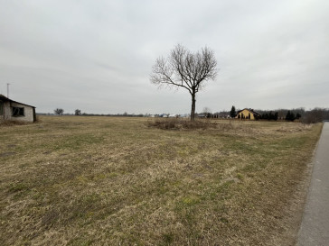 Działka Sprzedaż Czarnolas