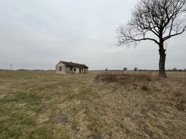 Działka Sprzedaż Czarnolas