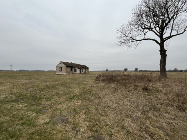 Działka Sprzedaż Czarnolas 5