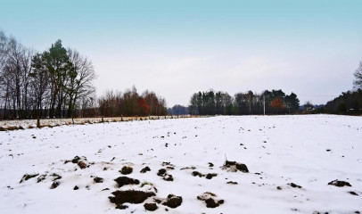 Działka Sprzedaż Kazimierz Dolny