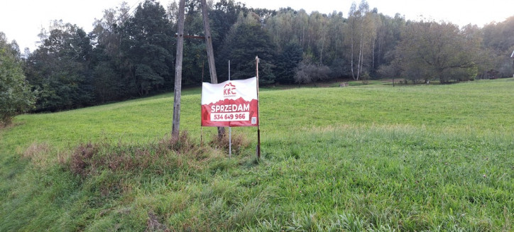 Działka Sprzedaż Zdonia 4