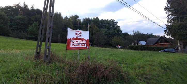 Działka Sprzedaż Zdonia 4