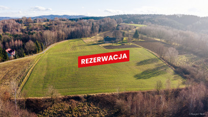 Działka Sprzedaż Tuchów