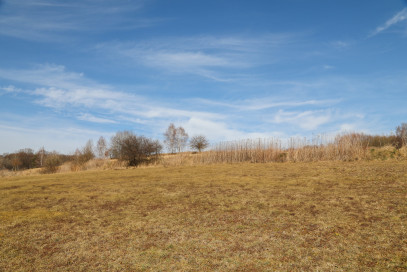 Działka Sprzedaż Jodłowa
