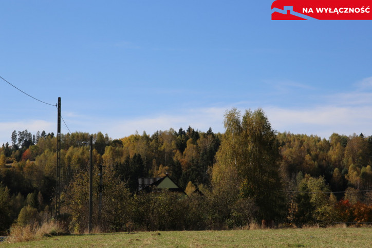 Działka Sprzedaż Krośnica Dziołki 17