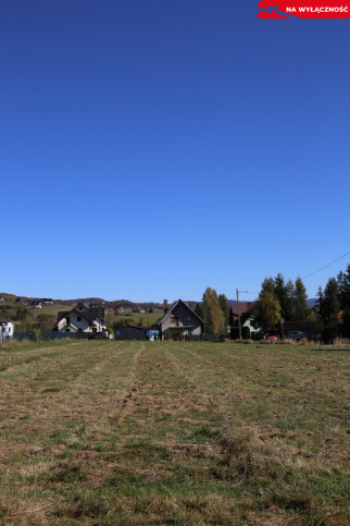 Działka Sprzedaż Krośnica Dziołki 18