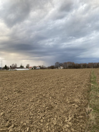Działka Sprzedaż Wojnicz