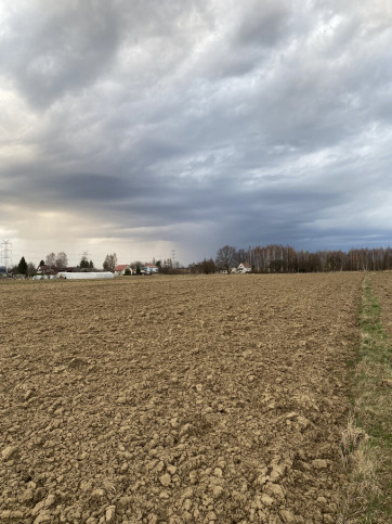 Działka Sprzedaż Wojnicz 11