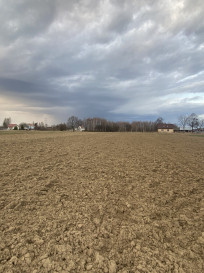 Działka Sprzedaż Wojnicz