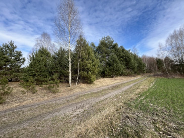 Działka Sprzedaż Karolów