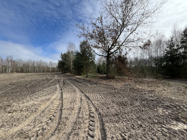 Działka Sprzedaż Karolów
