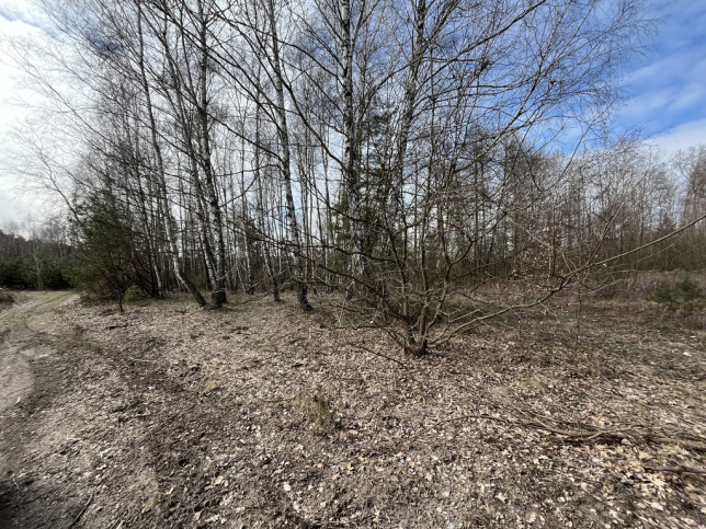Działka Sprzedaż Karolów 17