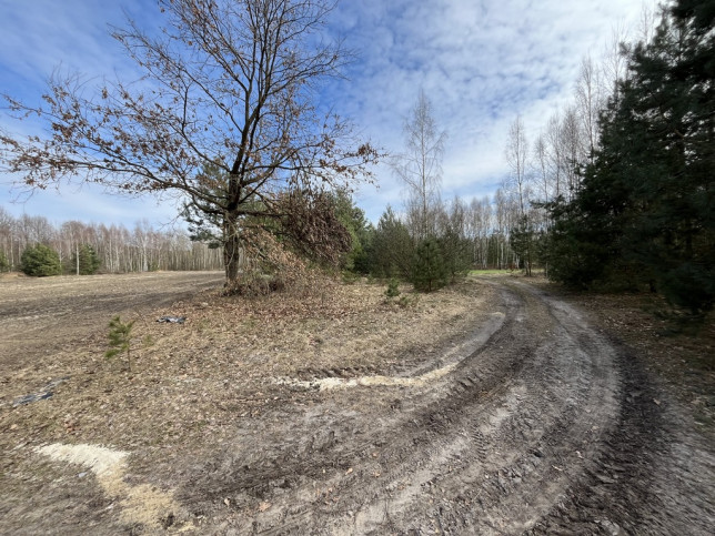 Działka Sprzedaż Karolów 18
