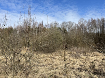 Działka Sprzedaż Nowy Kawęczyn