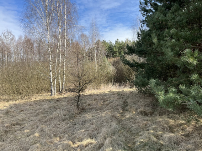 Działka Sprzedaż Nowy Kawęczyn 16