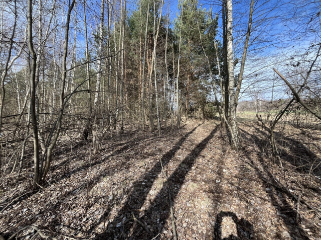 Działka Sprzedaż Nowy Kawęczyn 17