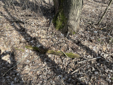 Działka Sprzedaż Nowy Kawęczyn