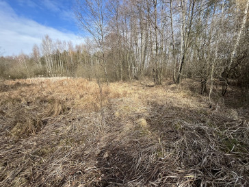 Działka Sprzedaż Nowy Kawęczyn