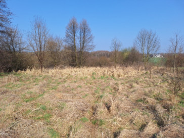 Działka Sprzedaż Lgota