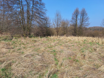 Działka Sprzedaż Lgota