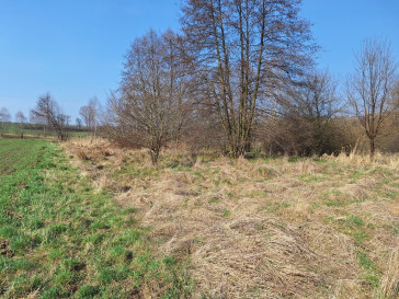 Działka Sprzedaż Lgota