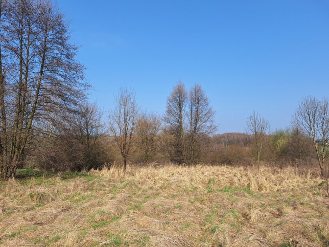 Działka Sprzedaż Lgota 4
