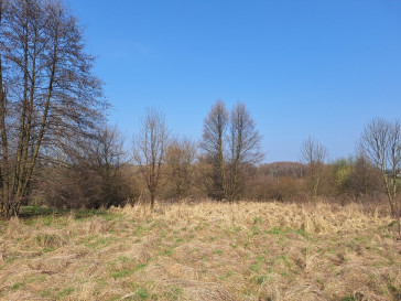 Działka Sprzedaż Lgota