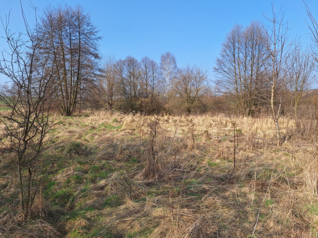 Działka Sprzedaż Lgota 5