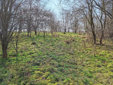 Działka Sprzedaż Lgota