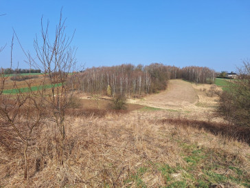 Działka Sprzedaż Lgota
