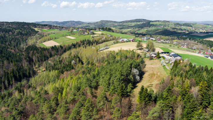 Działka Sprzedaż Jastrzębia 7