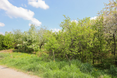 Działka Sprzedaż Tarnów Władysława Warneńczyka