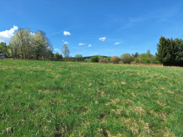 Działka Sprzedaż Kurów