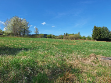 Działka Sprzedaż Kurów