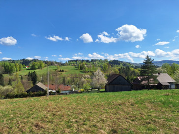 Działka Sprzedaż Kurów