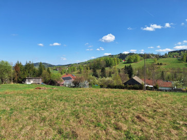 Działka Sprzedaż Kurów