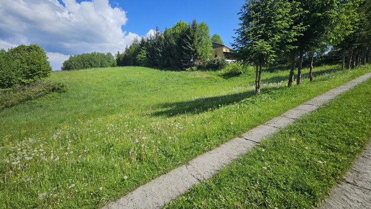 Działka Sprzedaż Ryglice 6