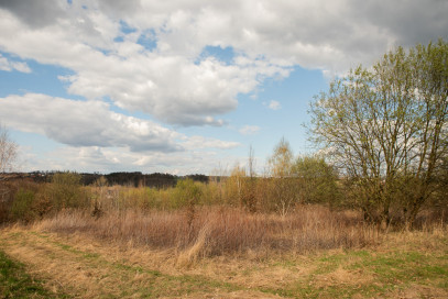 Działka Sprzedaż Ryglice