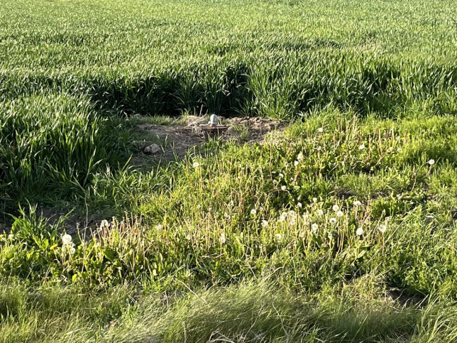 Działka Sprzedaż Grabów Nad Wisłą 7