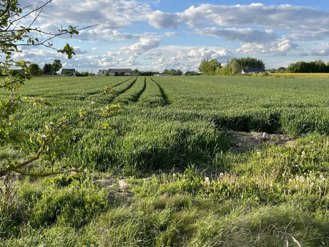 Działka Sprzedaż Grabów Nad Wisłą 8