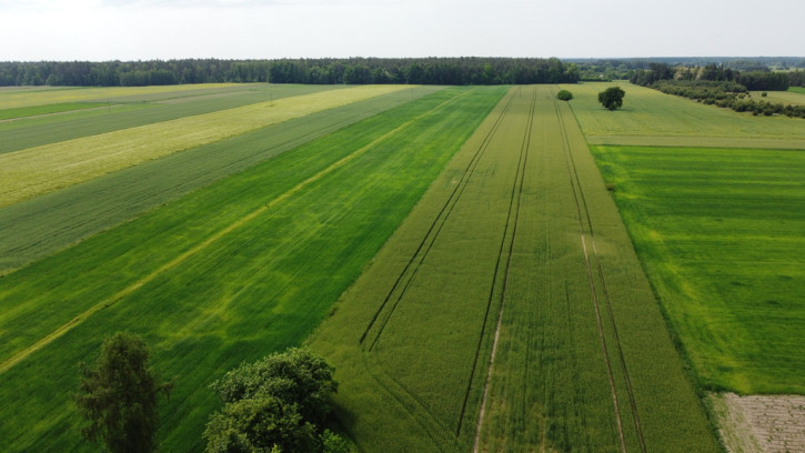 Działka Sprzedaż Jasieniec Solecki 8