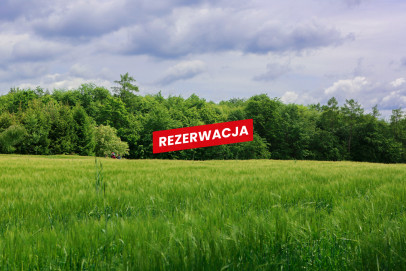 Działka Sprzedaż Domosławice