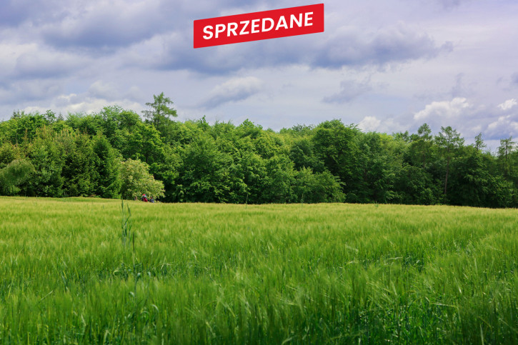 Działka Sprzedaż Domosławice 4