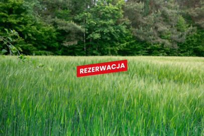 Działka Sprzedaż Domosławice