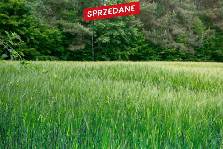 Działka Sprzedaż Domosławice 8