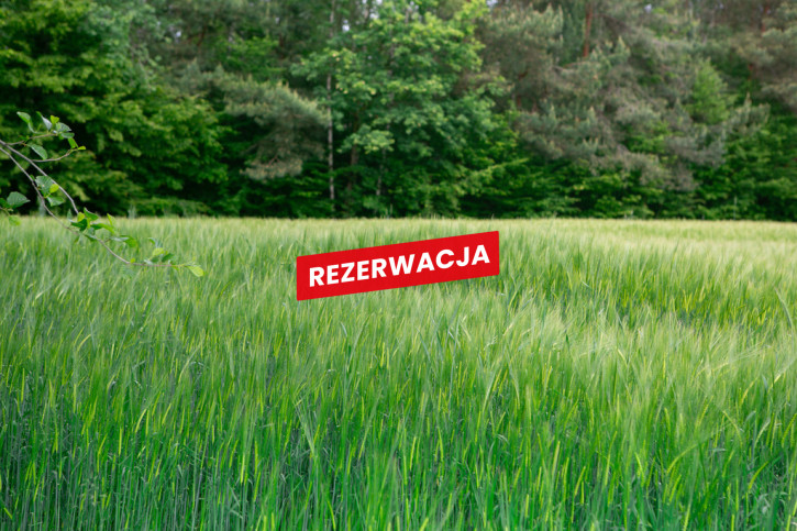 Działka Sprzedaż Domosławice 8