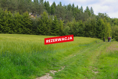 Działka Sprzedaż Domosławice
