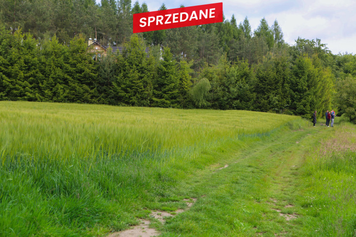 Działka Sprzedaż Domosławice 9