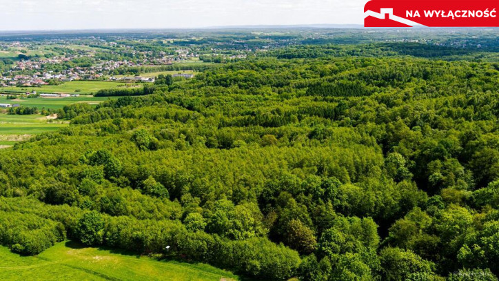 Działka Sprzedaż Skrzyszów 1