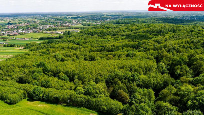 Działka Sprzedaż Skrzyszów